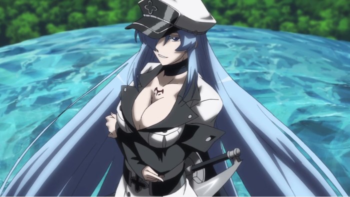 esdeath-akame-ga-kill