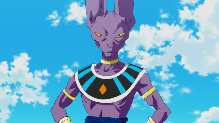 Beerus2